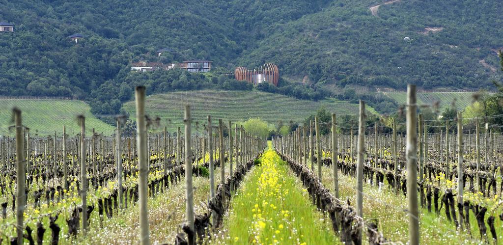 Clos Apalta Residence Relais & Chateaux Santa Cruz Εξωτερικό φωτογραφία