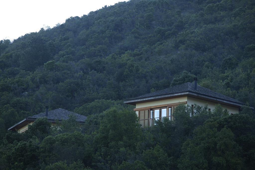 Clos Apalta Residence Relais & Chateaux Santa Cruz Εξωτερικό φωτογραφία