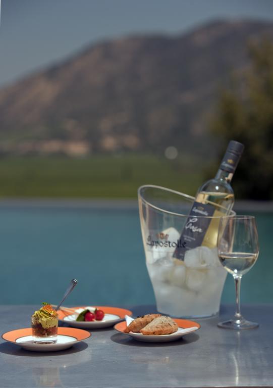 Clos Apalta Residence Relais & Chateaux Santa Cruz Εξωτερικό φωτογραφία
